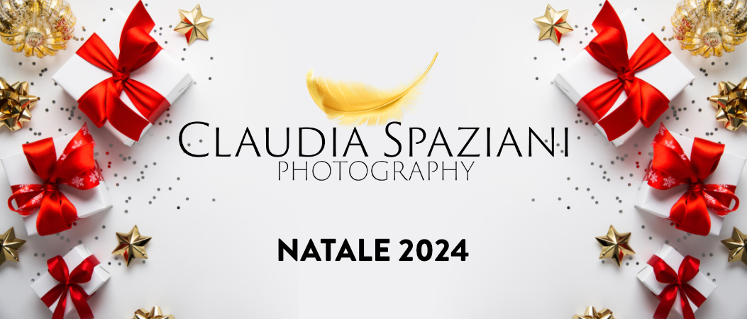 Mini Sessioni Natalizie